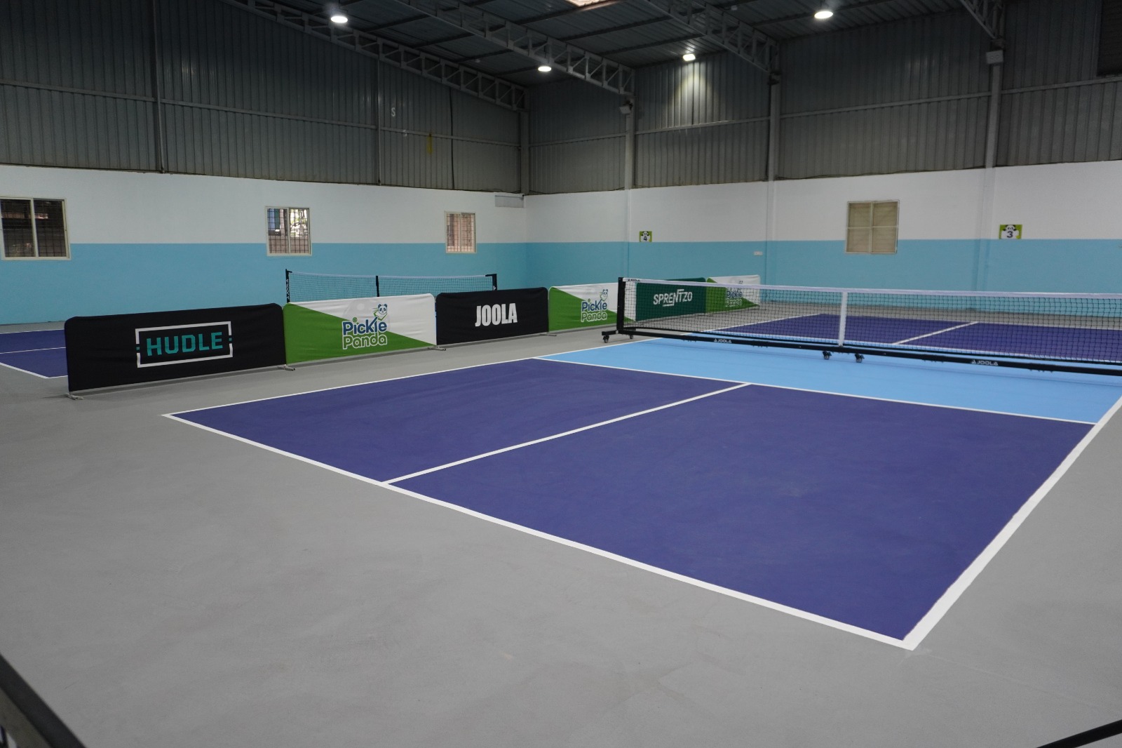 Panda Arena Surface